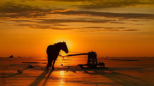 Conducir por China: Rusia (Manzhouli) – China – Laos