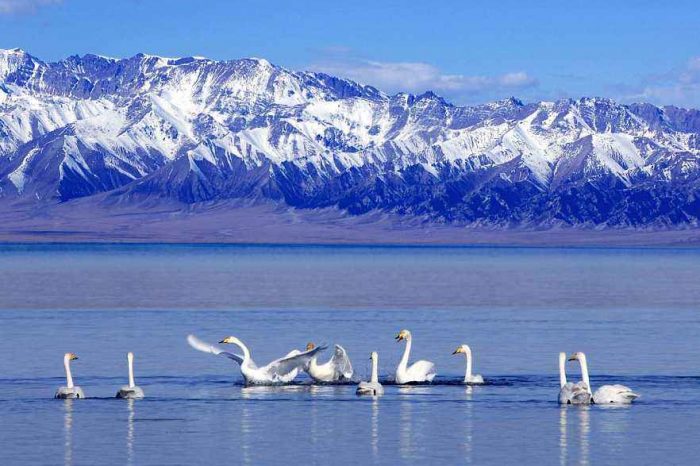 Conducir por China: Vietnam (Pingxiang / Dongxing) – China – Kazajstán