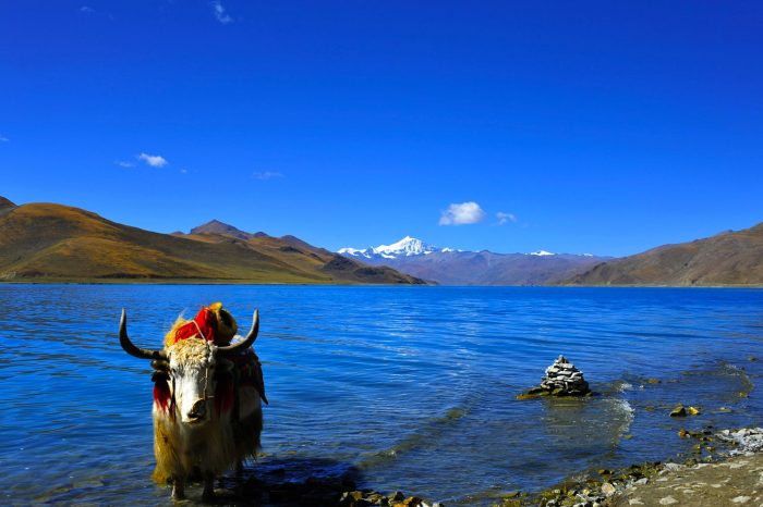 Viaje de 5 Días en Grupo Pequeño por el Lago Lhasa y Yamdrok