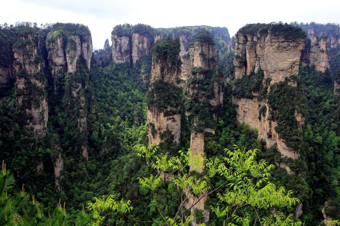 Viaje de 11 Días en Grupo Pequeño de Pekín – Xi’ an – Zhangjiajie – Shanghai