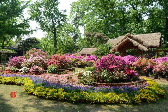 Viaje de 2 Días por el Descubrimiento de Suzhou