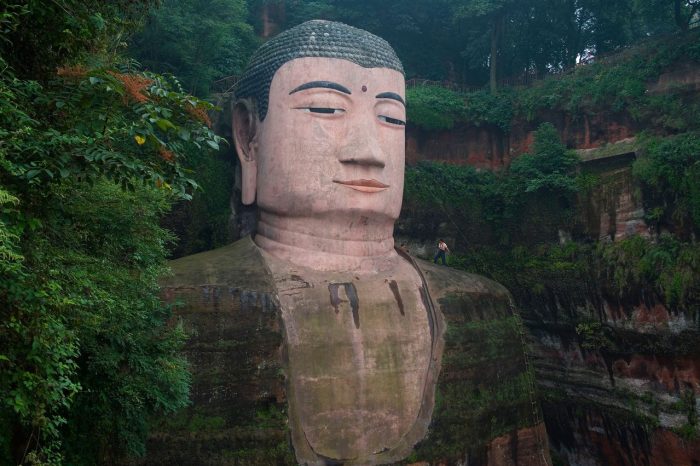 Viaje de 1 Día de Visita de Panda & Buda Gigante de Leshan