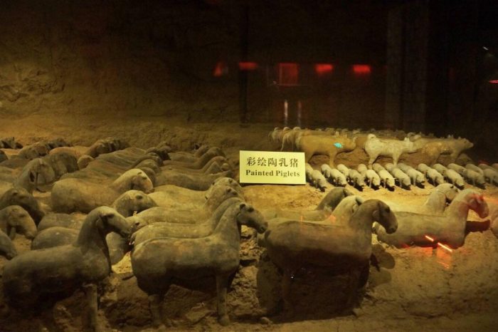 Viaje de 1 Día de Xian & Tumba Antigua