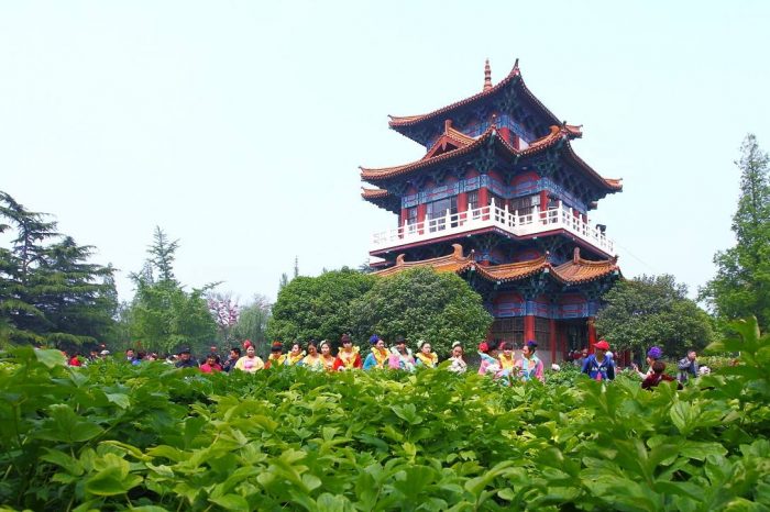 Viaje de 4 Días de la Cultura de Luoyang