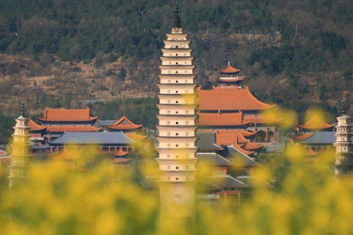 Viaje de 4 Días a lo Más Destacado de Kunming & Dali