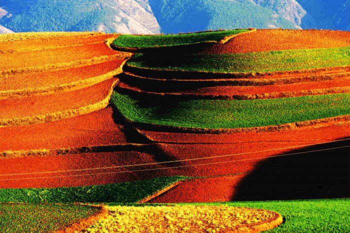 Viaje de 4 Días en Kunming y Tierra Toja Escénica de Dongchuan