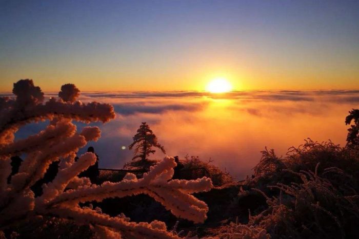 Viaje de 5 Días a Monte Emei & Panda(Por el Tren de Alta Velocidad)