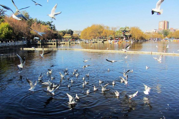 Viaje de 3 Días a la Ciudad de Primavera – Kunming