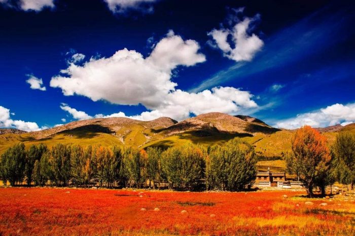 Viaje de 5 Días a las Esencias de Kunming & Shangri-La