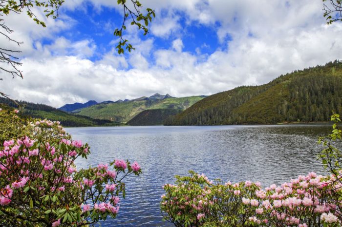 Viaje de 5 Días por lo Más Destacado de Lijiang & Shangri-La