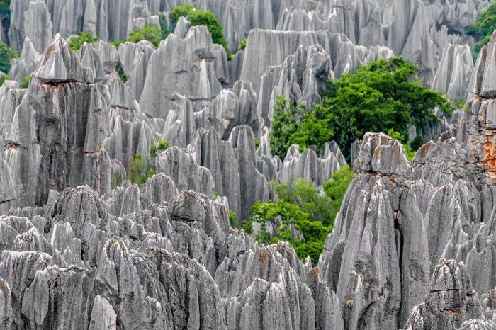 Tour de 6 Días en Kunming y Xishuangbanna