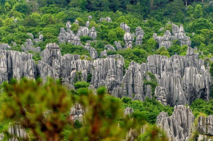 Viaje de 5 Días sobre las Esencias de Kunming & Shangri-La