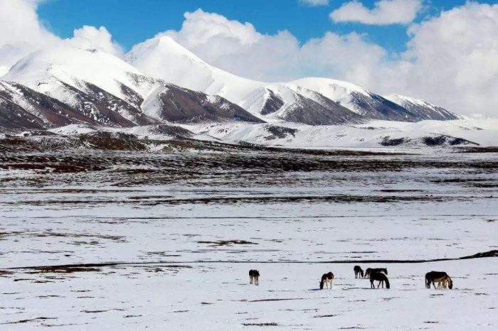 Viaje de 2 Días al Lago Karakul y Tashkurgan