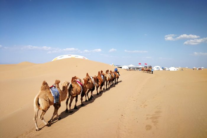 Viaje de 2 Días a Mongolia Interior