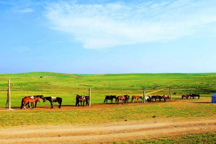 Lo Más Destacado: Pekín, Mongolia Interior, 6 Días de Viaje en Tren por Ferrocarril