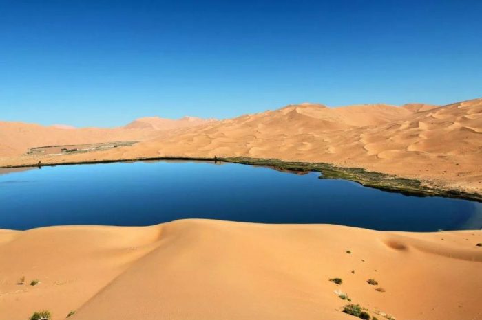 Viaje de un Día de Desierto de Kubuqi