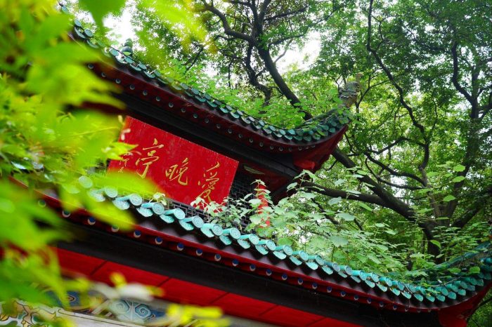 Tour de 6 Días en Zhangjiajie, Fenghuang and Changsha