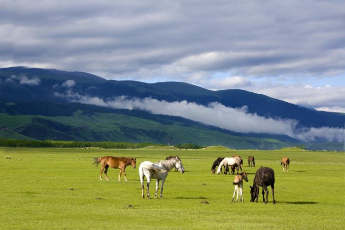 Viaje de 4 Días por el Folklore de Urumqi